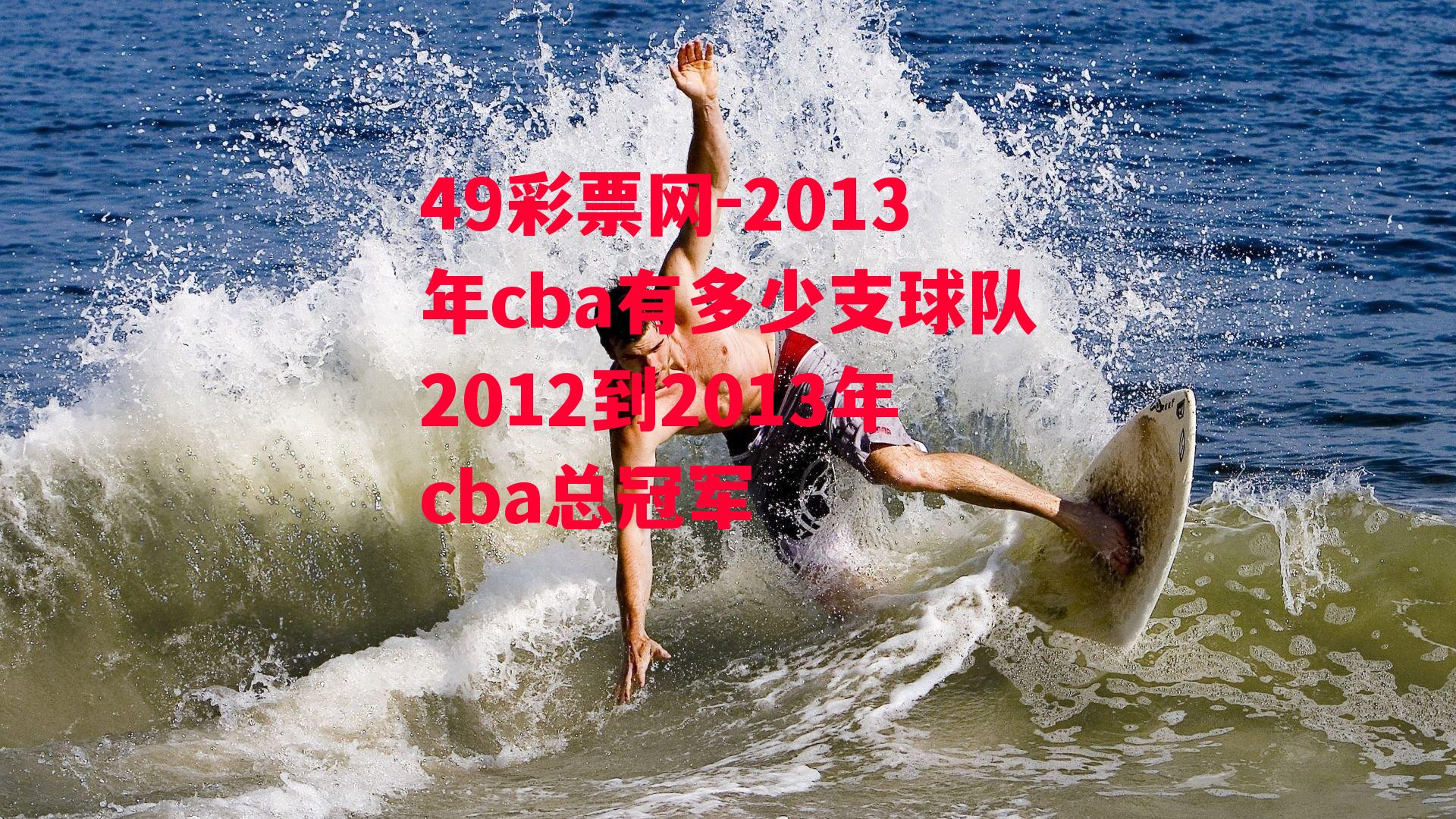 2013年cba有多少支球队2012到2013年cba总冠军